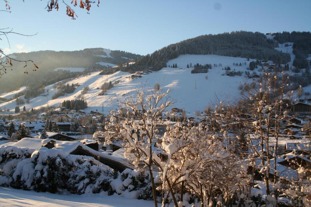 Chalet In Megeve Bed & Breakfast Dış mekan fotoğraf